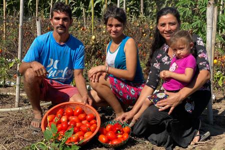 En la fotografía, una familia integrada por un hombre, una joven, una mujer y una niña, muestran sus tomates en su huerto familiar.