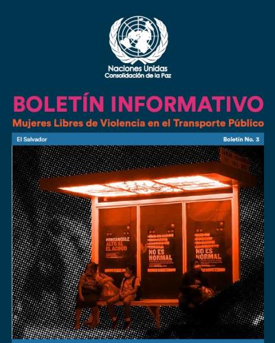 Boletín Informativo No3 Mujeres Libres De Violencia En El Transporte Público Naciones Unidas 1653