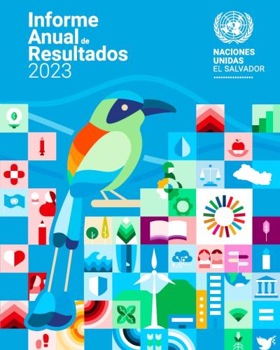 Portada del Informe anual de resultados 2023 que tiene en el centro un torogoz en tamaño grande sobre un fondo celeste, con unas líneas en tono celeste claro que simulan montañas al fondo y rodeados por íconos de diferentes colores que hacen referencia a los efectos del Marco de cooperación.