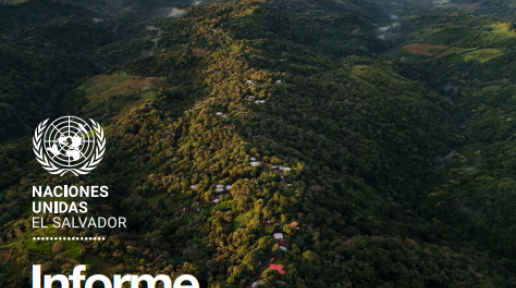 Fotografía panorámica de área natural protegida en El Salvador y un texto en el que se lee: Informe anual de resultados 2024